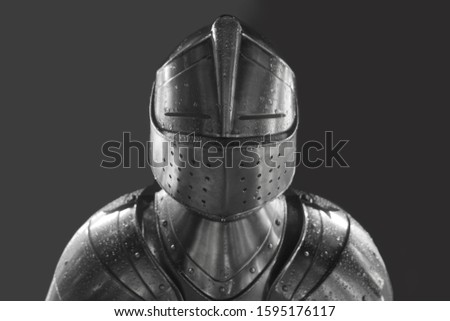 Knight in shining armor. Detail metal helmets. Medieval warrior. isolated on white or gray background. 