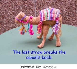 Last Straw Images Stock Photos Vectors Shutterstock