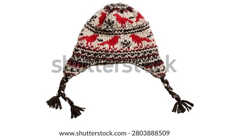 Knitted wool winter hat with red bird patterns and braided ear flaps