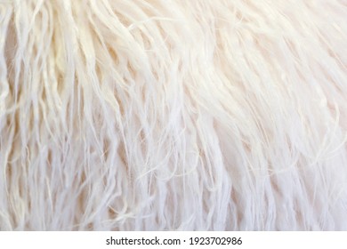 450,100 Cotton thread Images, Stock Photos & Vectors | Shutterstock