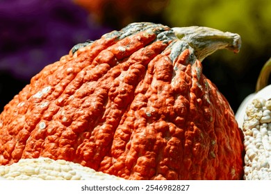 A knobbly orange gourd with a unique bumpy texture and a curled stem, surrounded by other autumnal vegetables. - Powered by Shutterstock