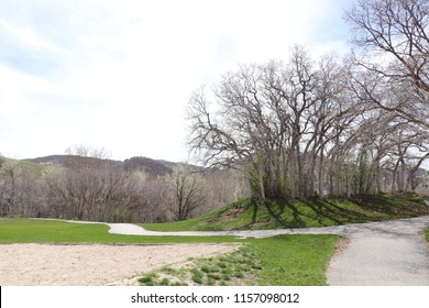 A knoll at a park with leafless scrub oak trees growing on it and a path around it