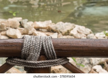 Knot