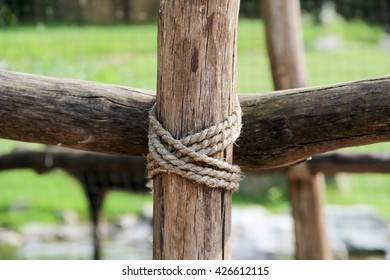 Knot