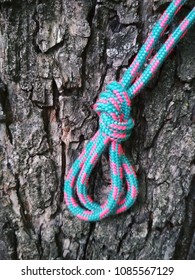  Knot Double Overhand. Photo From Phone