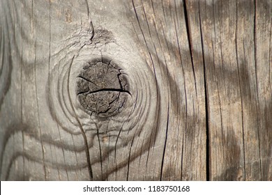 Knotty Pine Board