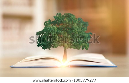 Knowledge Concept. Tree Growing From Opened Book Lying On Desk In Library. Educational Collage Background.