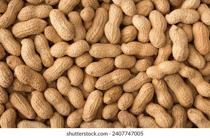 The peanut also known as the groundnuts.Peanuts are rich in monounsaturated and polyunsaturated fats, which are heart-healthy fats. They can help reduce bad cholesterol levels.it is very Delicious.