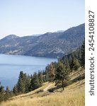 Knox Mountain, Okanagan, Kelowna, British Columbia, Canada, scenic, beauty, landscape, nature, panoramic views, hiking trails, outdoor adventure, wilderness, mountain summit, forested, trails, lookout