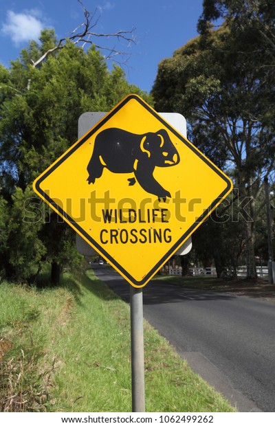 Koala crossing sign in\
Australia