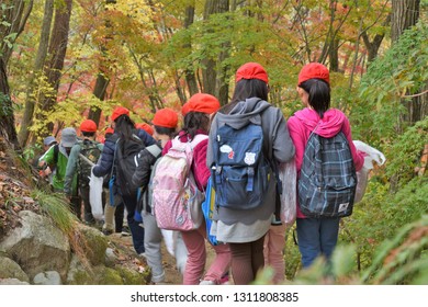 Kobe, Japan- Nov 14, 2018: A group of Japanese young students on an outing at Kobe Arboretum.