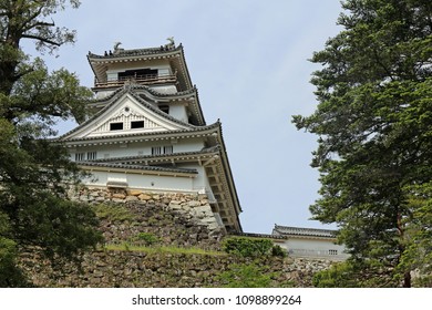 Kochi Castle Of Fresh Green