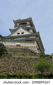 Kochi Castle Of Fresh Green