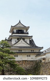 Kochi Castle Of Fresh Green