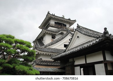 Kochi Castle In Japan