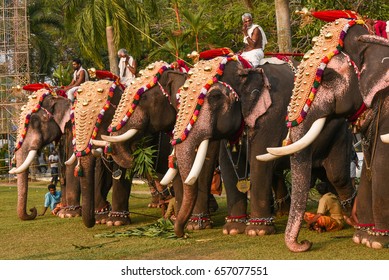 KOCHI, INDIA - SEPTEMBER 13: Decorated Elephants With Gold Plated Caparisons Standing For Parade On Festival In Ernakulam Temple For The Traditional Ceremony 13, 2016 Kerala, India.