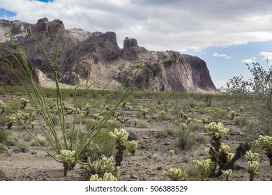 Kofa Mountains Wilderness In Yuma County Near Quartzite Arizona.