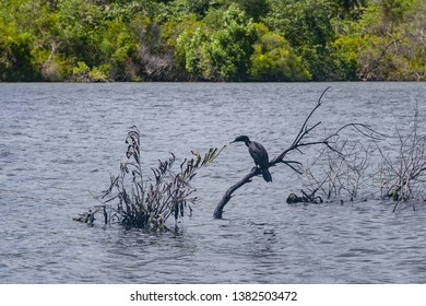 Koggala Lake In Galle District, Southern Sri Lanka