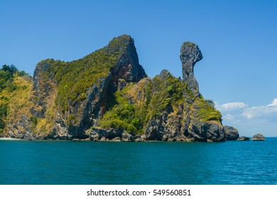 10,043 Chicken island Images, Stock Photos & Vectors | Shutterstock