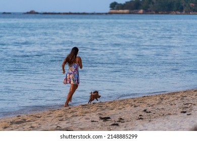 Koh Phangan, Thailand - Feb, 21, 2022 : Woman and dog running free on beach on sunset. Happy girl and her pet play out together on island Koh Phangan, Thailand