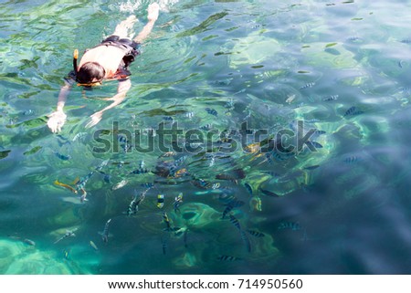 Koh Samui Snorkeling,Thailand
