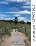 The Kohler Dunes Cordwalk trail going through sand dune hills, covered with grasses, shrub and some trees in Sheboygan, Wisconsin, USA