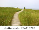 Kohler-Andrae State Park. Summer landscape with hiking trail through sand dunes lead to the lake Michigan beach. Nature of Wisconsin background. Travel midwest USA. Summer nature background.