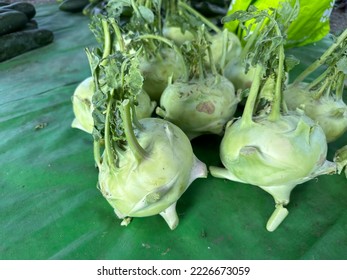 Kohlrabi, also known as German turnip or turnip cabbage, is a biennial vegetable, a low, stout cultivar of wild cabbage - Shutterstock ID 2226673059