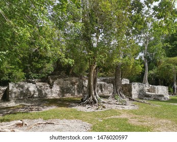 Kohunlich Maya Ruins Costa Maya Mexico