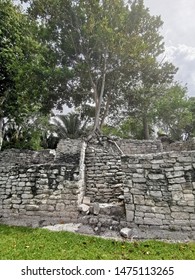 Kohunlich Mayan Ruins Costa Maya Mexico