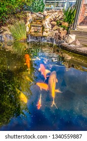 Koi Carp Fish Pond With Stone, Rockery Waterfall In A Garden Or Back Yard As A Water Feature For Pet Fish