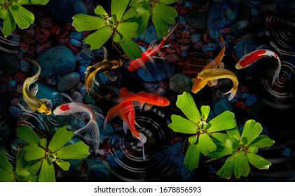 Koi fish in the garden  - Powered by Shutterstock