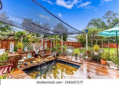 Koi Pond In A Florida Backyard