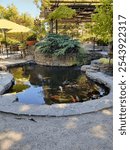 Koi pond in plant nursery 