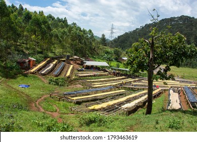Kokabanya Washing Station in the Lake Kiva region of Rwanda May 2015