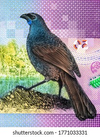 Kokako or blue wattled crow (Callaeas wilsoni), a large native bird with a distinctive bluish-grey body, mushroom (Entoloma hochstetteri), Portrait from New Zealand 50 Dollars 2016 Polymer Banknotes

