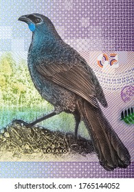 Kokako a portrait from New Zealand dollar
