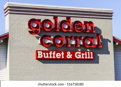 Goldencorral Images Stock Photos Vectors Shutterstock