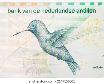 Kolibrie From Netherlands Antillean Money - Guilder