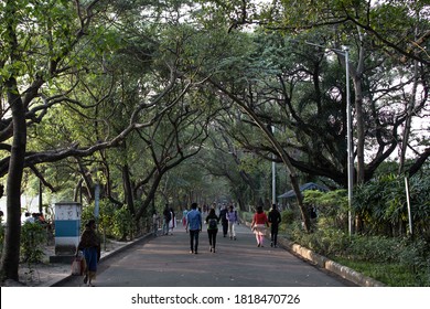 60 Rabindra sarovar lake Images, Stock Photos & Vectors | Shutterstock