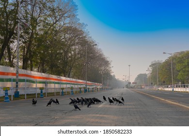 Kolkata, West Bengal, India - 23rd January 2018 : View Of Empty Red Road In The Morning With Blue Sky Above. The Crows Have Gathered Together Due To No Traffic On The Busy Road.