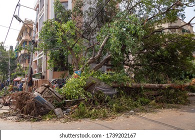 Oyebanji+calls+for+tree+planting+as+rainstorm+destroys+homes+and+schools+in+Ekiti
