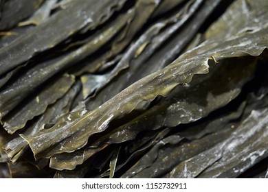 Kombu, Japanese Kelp 