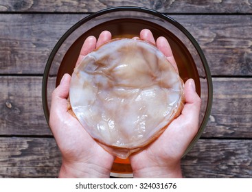 Kombucha mushroom pro biotic in unrecognizable man hand on vintage wooden background. Dietic organic superfood healthy fermented tea. Rustic style and natural light.