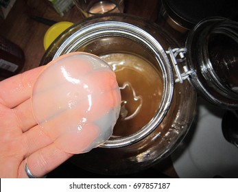 Kombucha With SCOBY