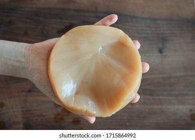 Kombucha Scoby Jar On Wooden Floor