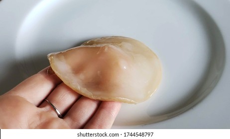 Kombucha Scoby Made Of Green Tea