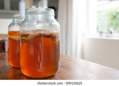 Kombucha Tea, The Brew Is Ready To Be Placed In Storage With The Bacteria Culture In Place To Ferment The Brew.