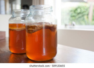 Kombucha Tea, The Brew Is Ready To Be Placed In Storage With The Bacteria Culture In Place To Ferment The Brew.