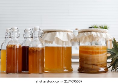 Kombucha Tea, Kombucha Fermented Drink, Bacteria And Yeast,  Fermentation, Probiotic, Scoby, Mushroom Pro Biotic, Healthy Fermented Tea